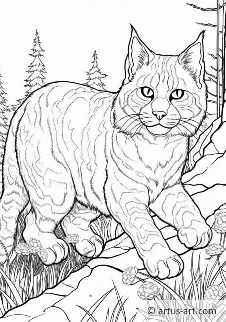 Bobcat Coloring Page
